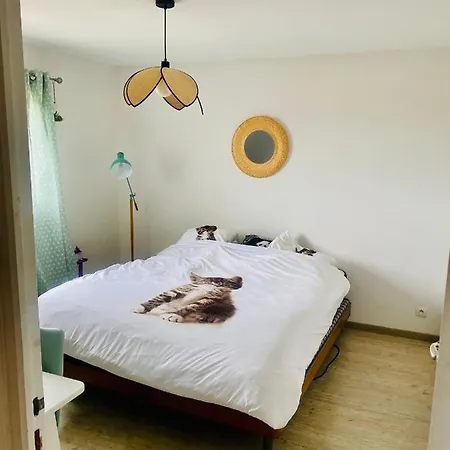 Jolie Avec Piscine 8 Couchages Villa Fréjus
